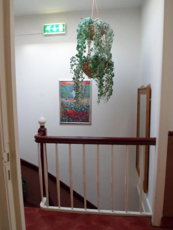 Hotel Staten
